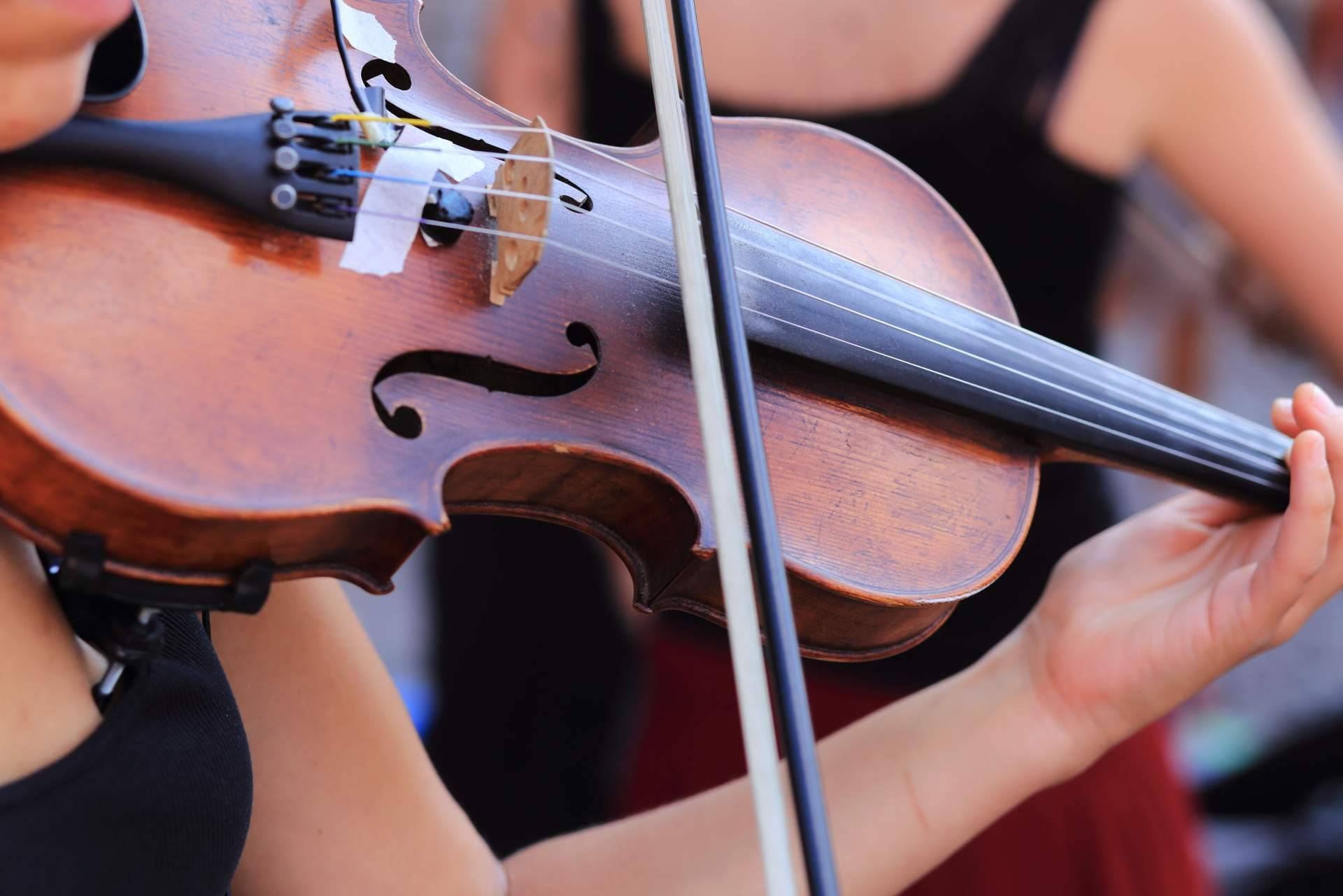 Erizo ofrece clases de violín online adaptadas a los gustos y nivel del estudiante