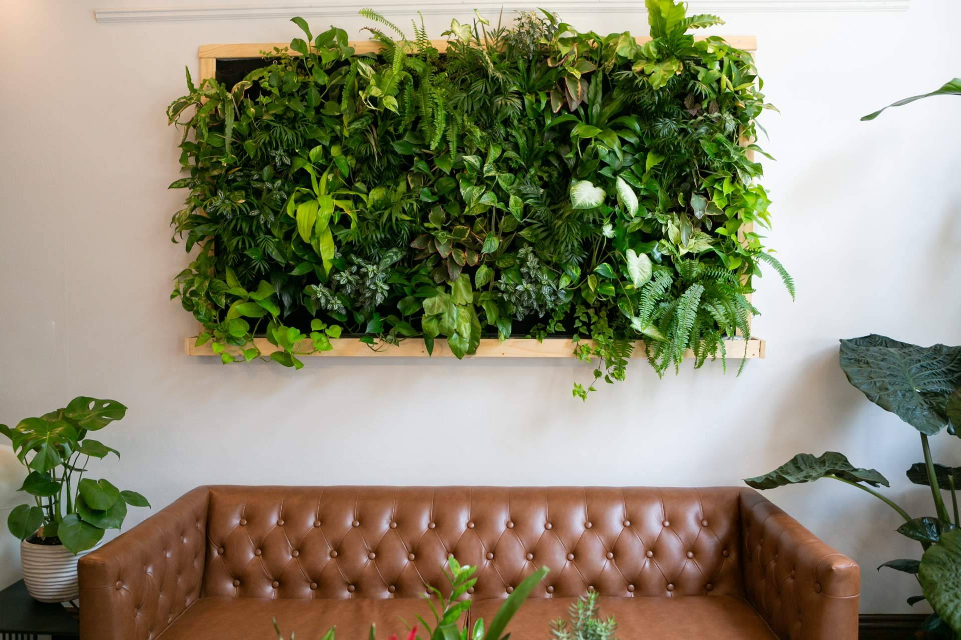 Elegir un jardín vertical artificial es la última tendencia en JardínVertical.es