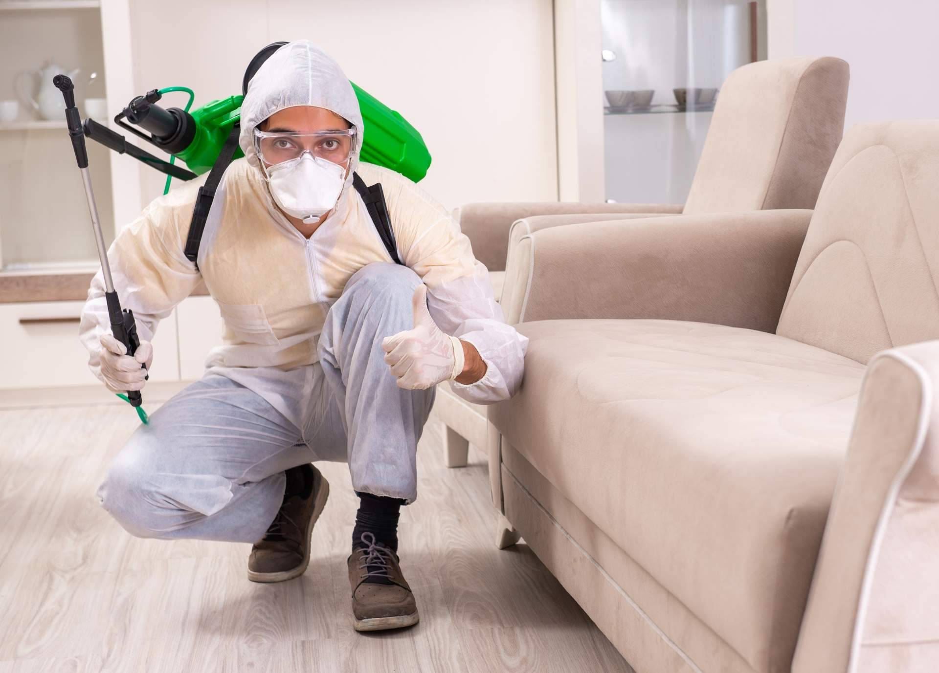 Control de plagas con los servicios de Laboratorios Astursa