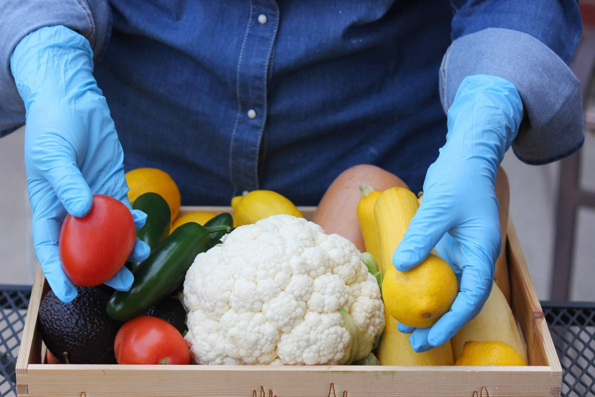 Damito - Tecnas y la posibilidad de realizar de forma gratuita el curso de manipulador de alimentos