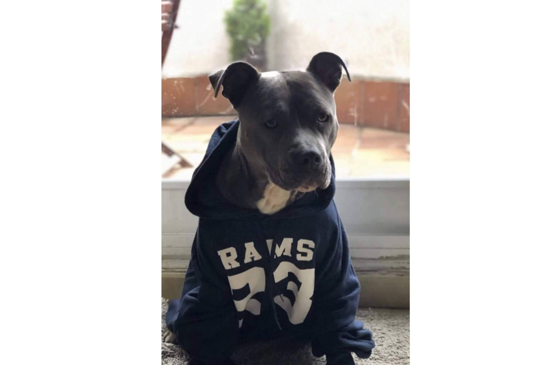 El éxito de RAMS 23, la marca de estilo universitario que arrasa entre los jóvenes