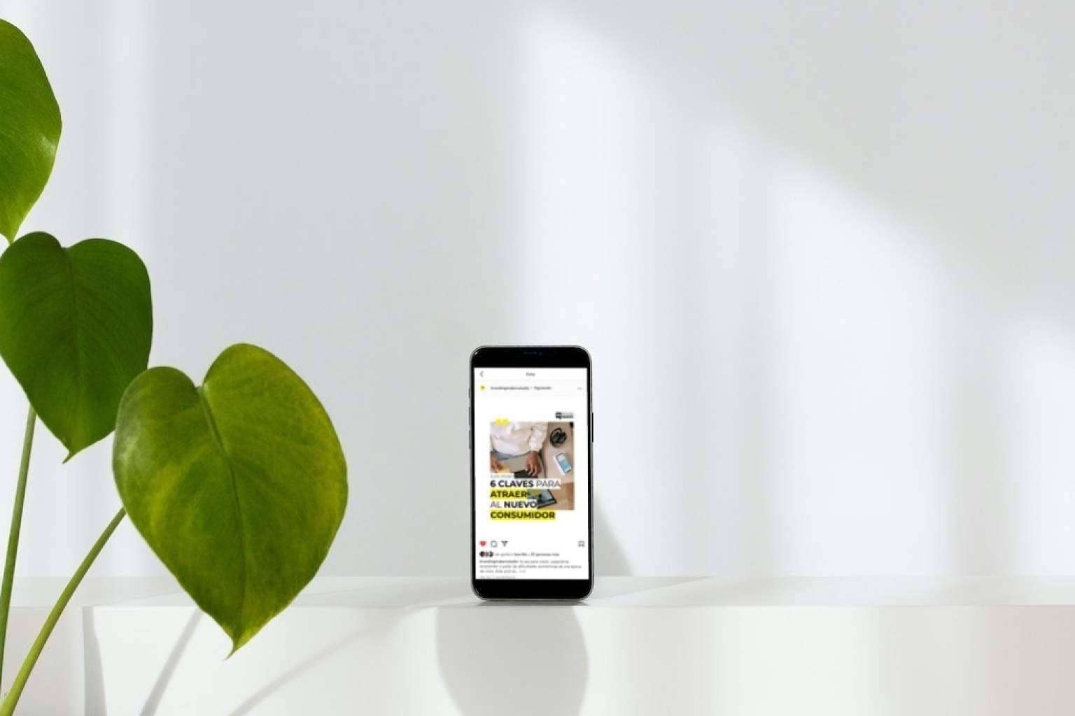 Branding Makers explica cómo mejorar el posicionamiento SEO y SEM para aparecer en Google