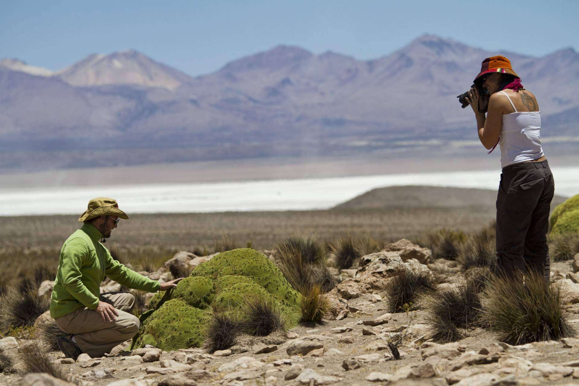 ¿Por qué los viajes a Chile son una opción cada vez más elegida por los turistas?, por Mayuru Tour