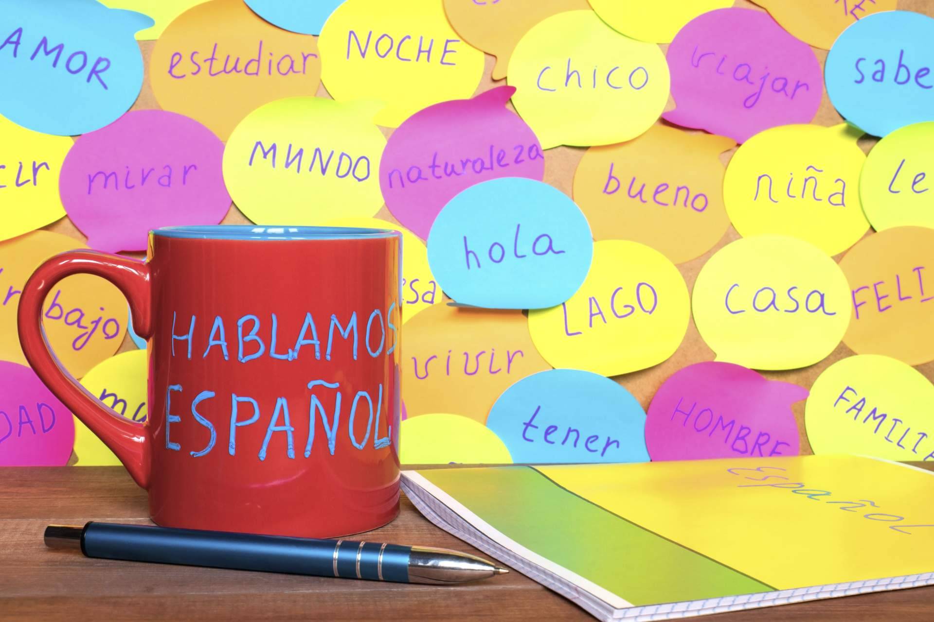 Los estudiantes extranjeros que buscan learn spanish in Spain pueden confiar en Enforex