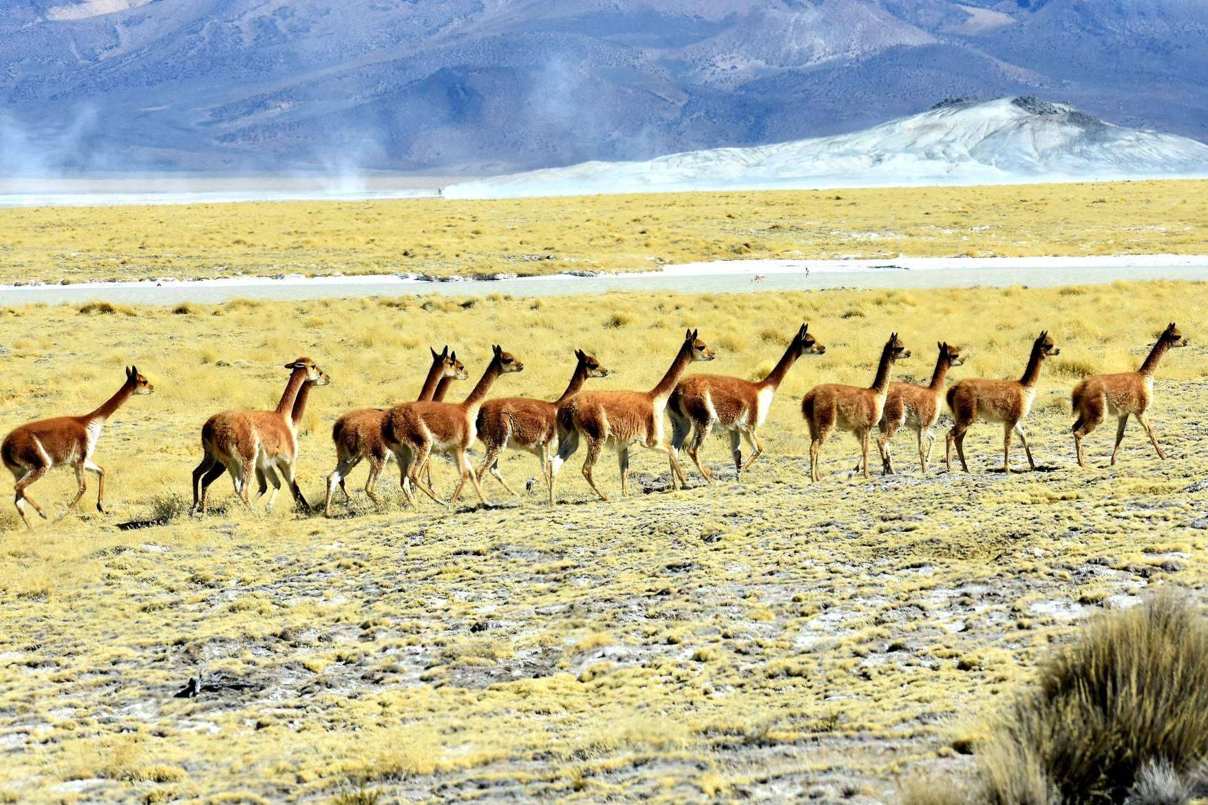 ¿Cómo descubrir los rincones más impresionantes de Chile? Mayuru Tour
