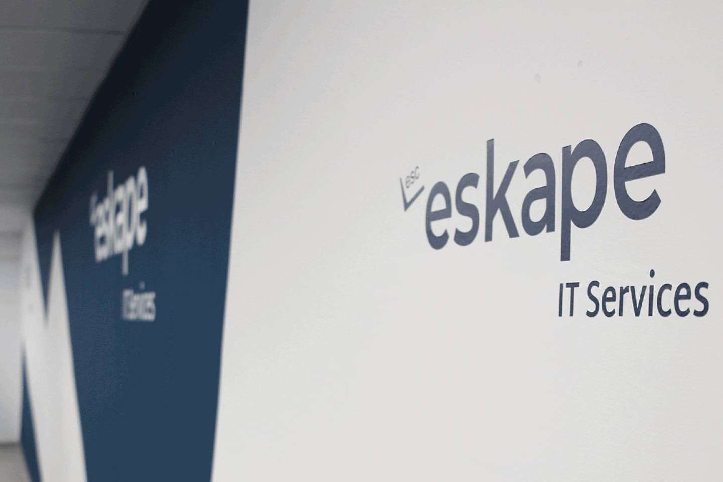 La máquina y el humano están condenados a entenderse en las empresas. Los profesionales de Eskape son especialistas en ello