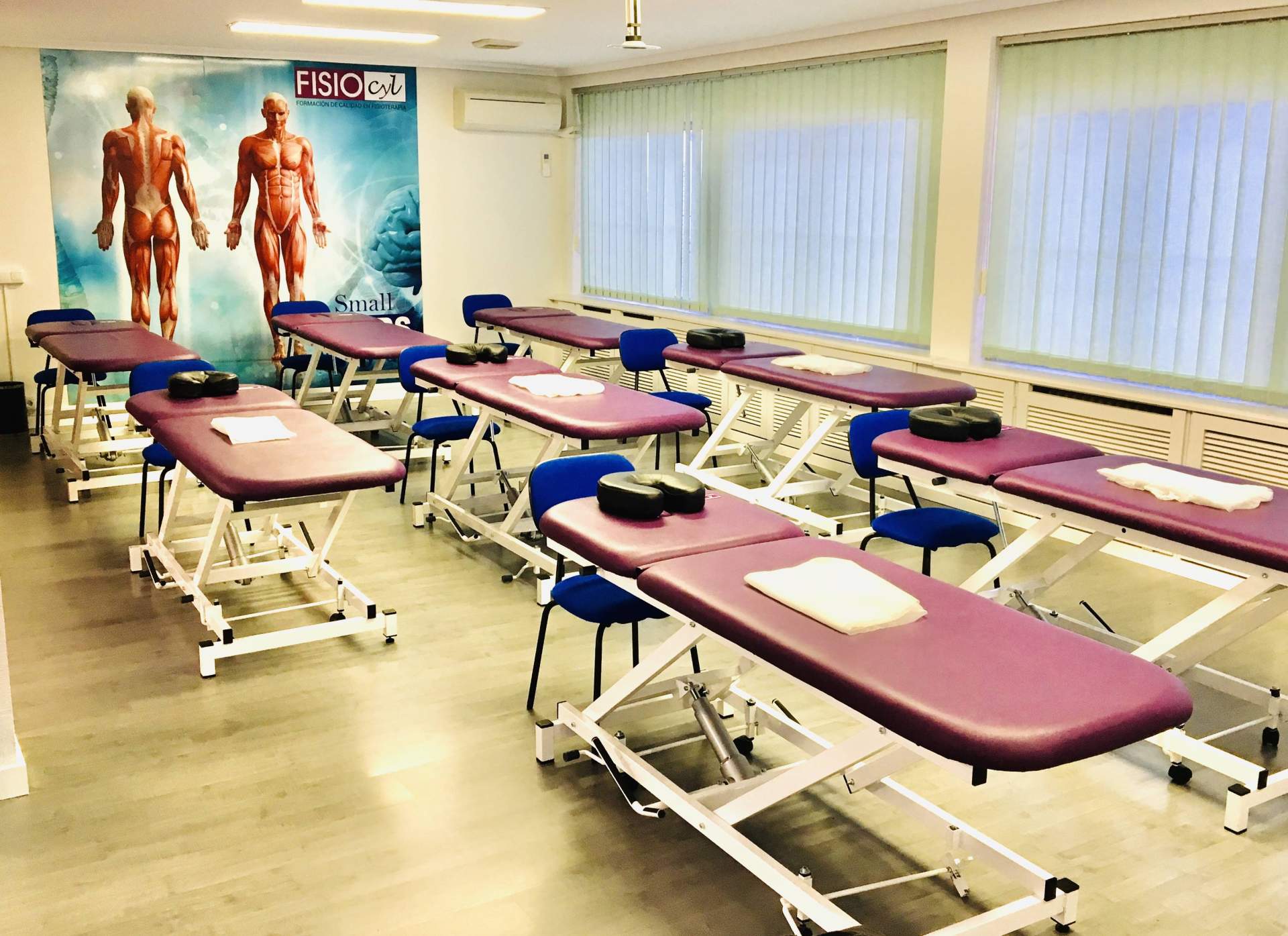 La aplicación gratis Fisiocyl para profesionales de la salud de todo el mundo