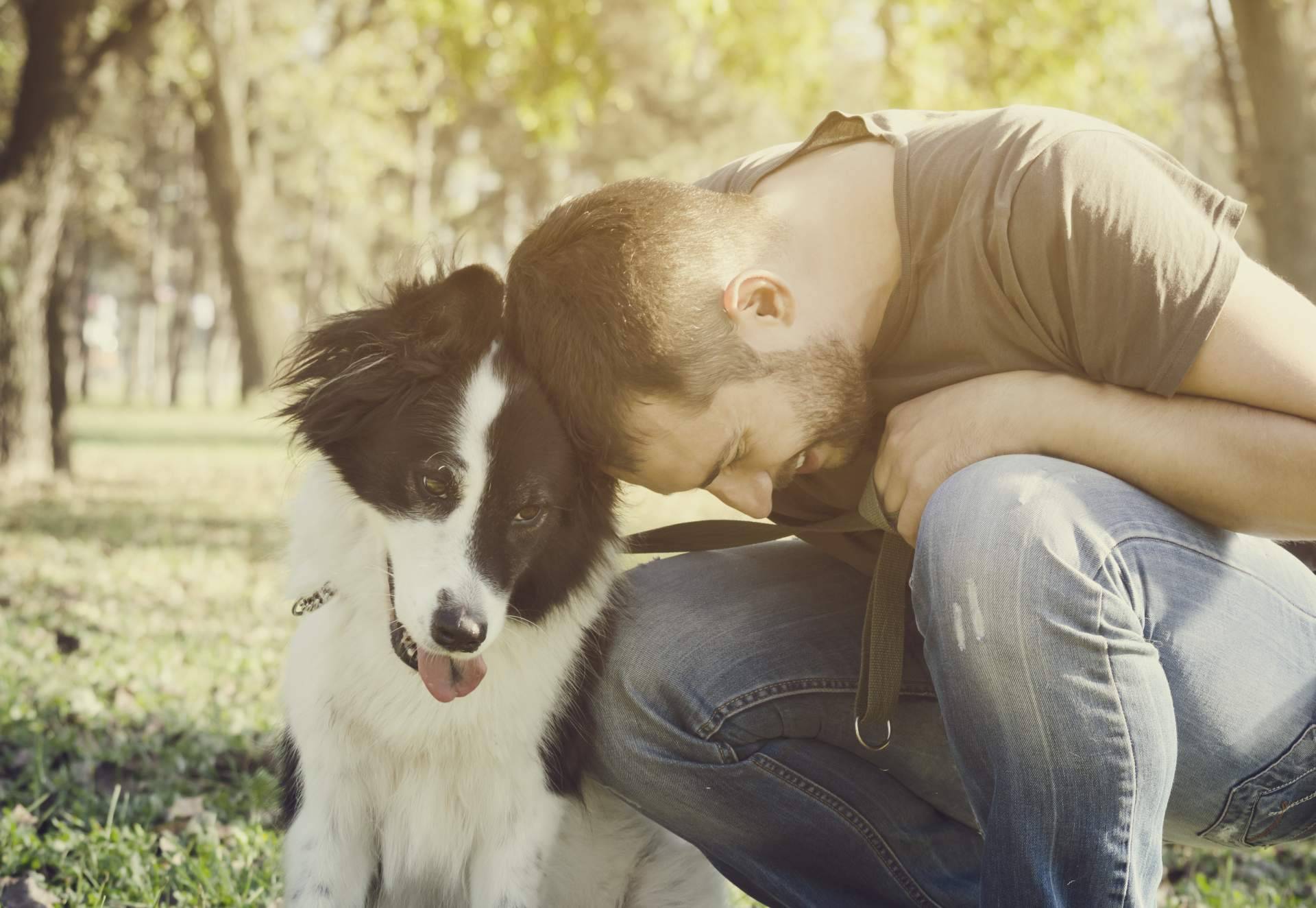 Avenir la relación con el perro de la familia