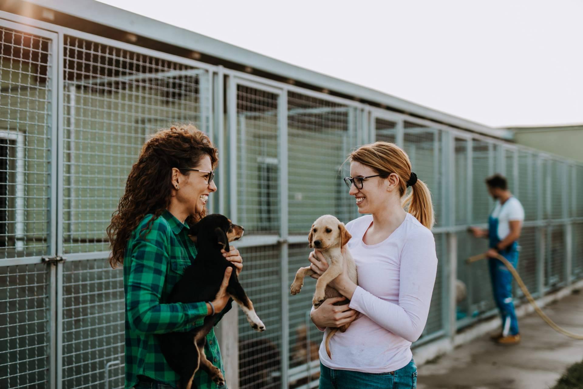 ADOPTA tiene la clave para encontrar el compañero peludo perfecto con su buscador de perros y gatos en adopción