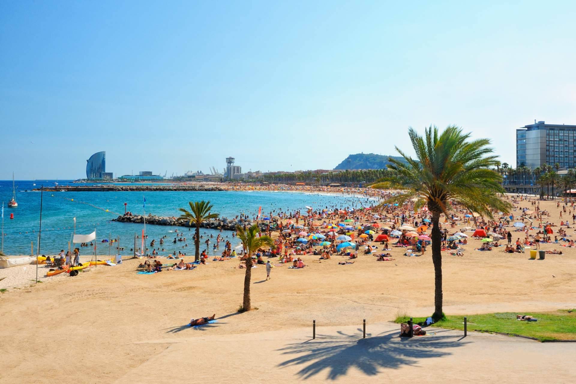 Las propuestas de Barcelonina y la importancia de las visitas a medida