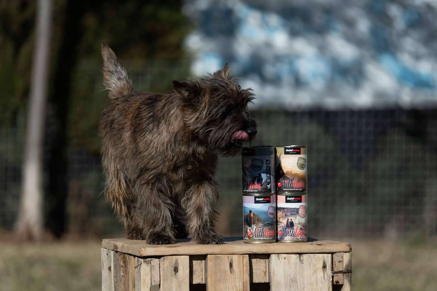 La nueva gama de comida húmeda para perros y gatos de Satisfaction, With Love