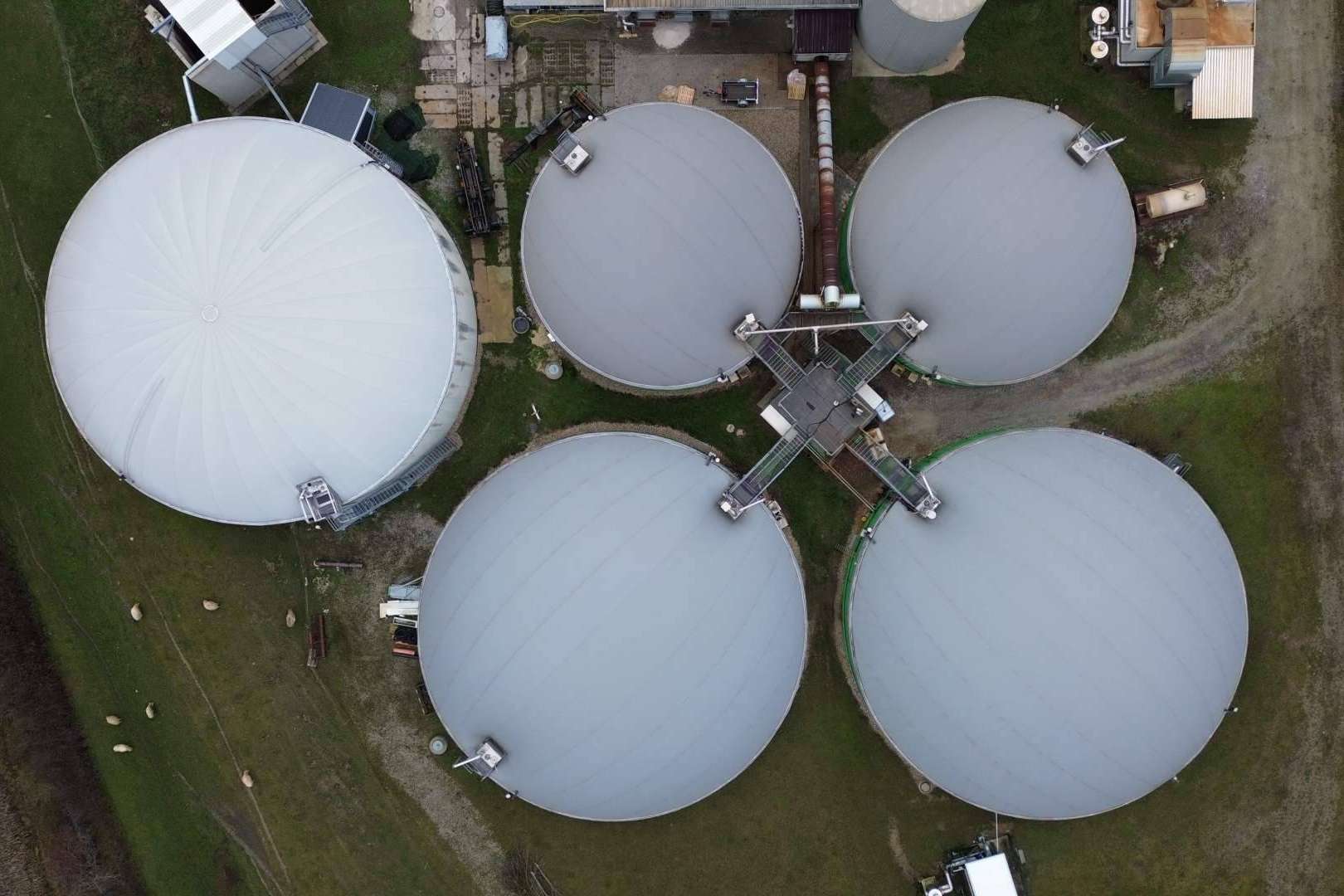 ¿Qué es una planta de biogás y para qué sirve?, por Calpech