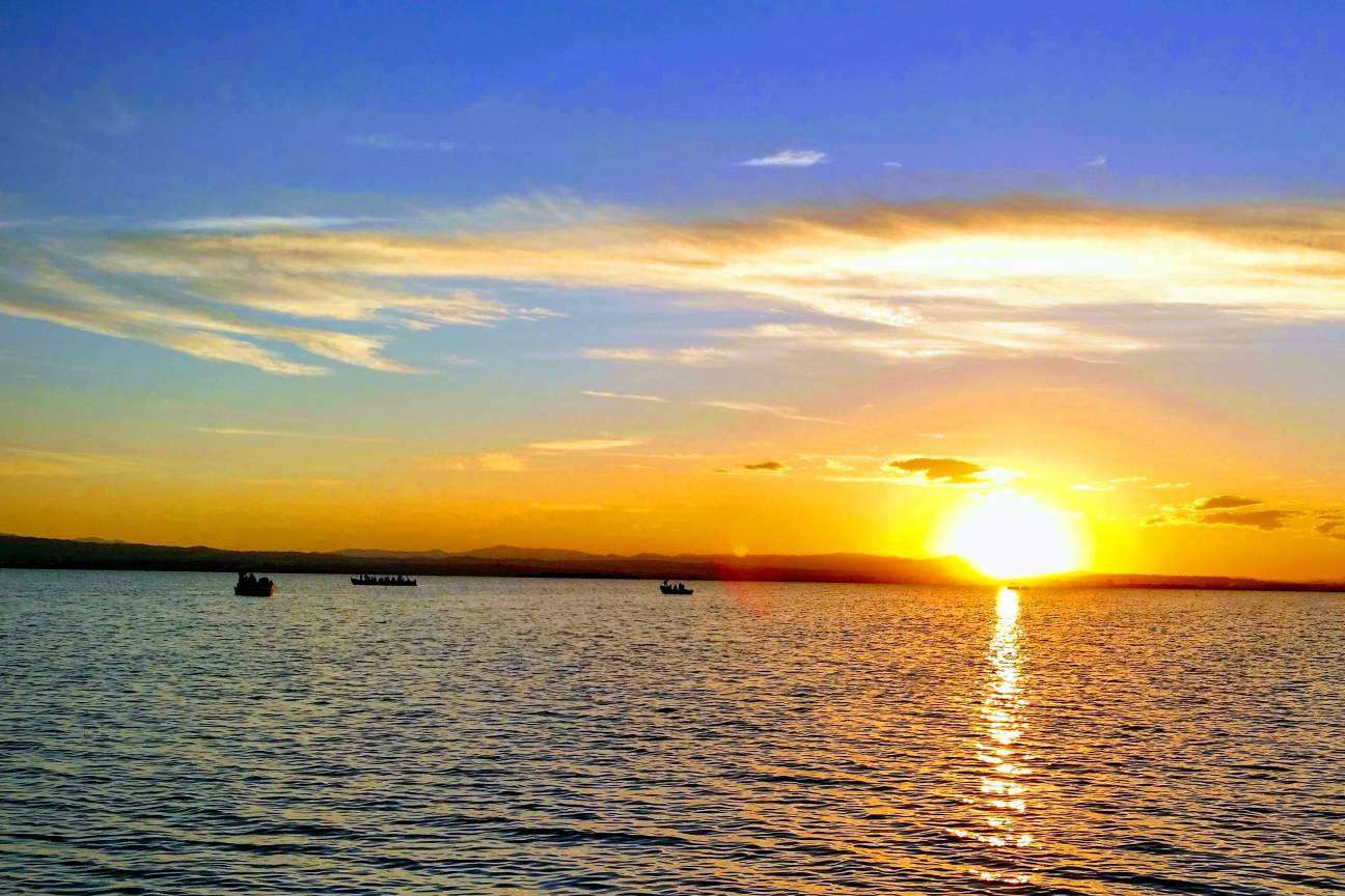 Explorar la Albufera con la guía experta de Albumar