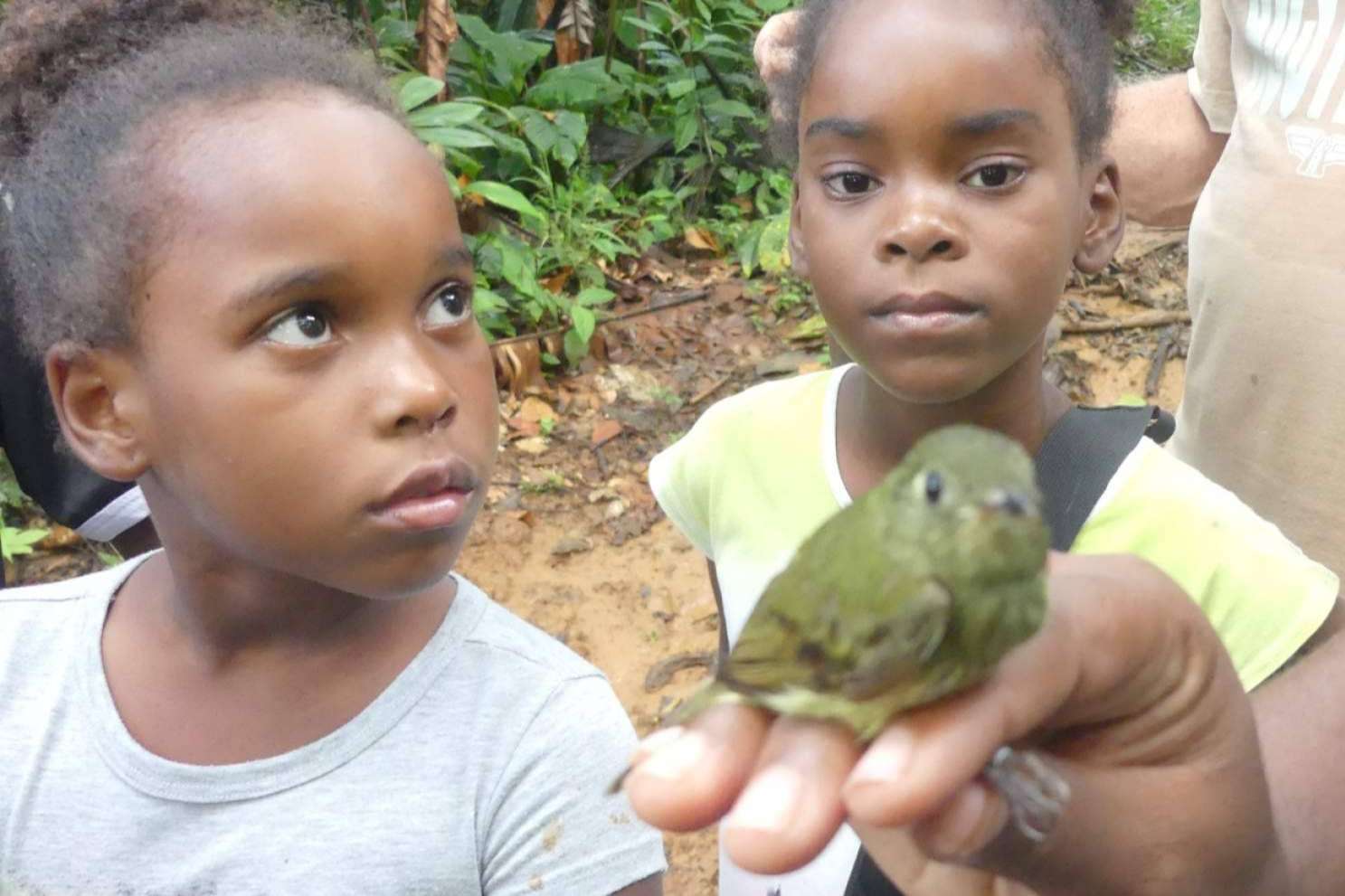 ONGVoluntariado, una manera de vivir voluntariados ambientales internacionales