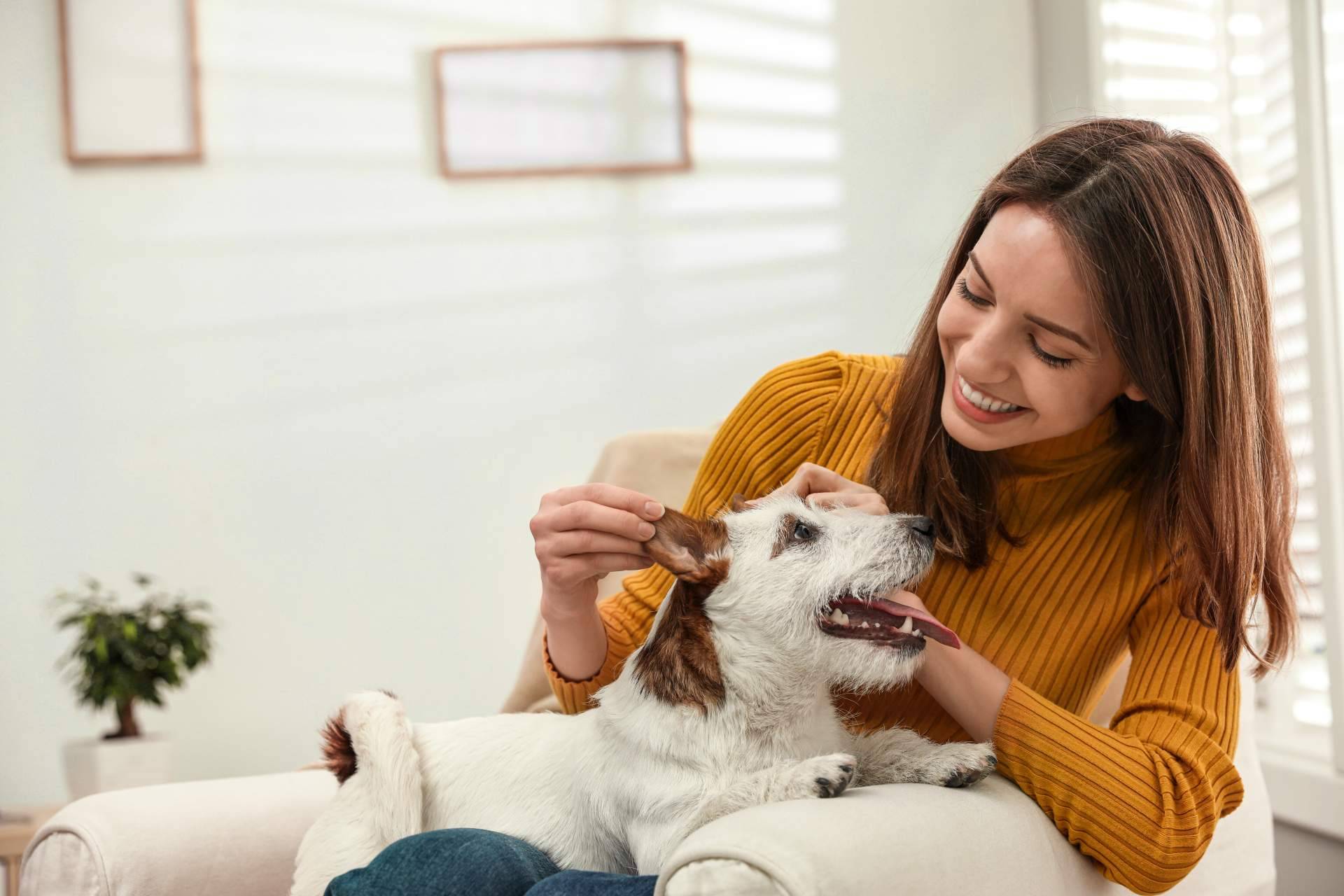 ¿Dónde encontrar una aplicación con contenido de mascotas segura, divertida y entretenida? ClickGuau