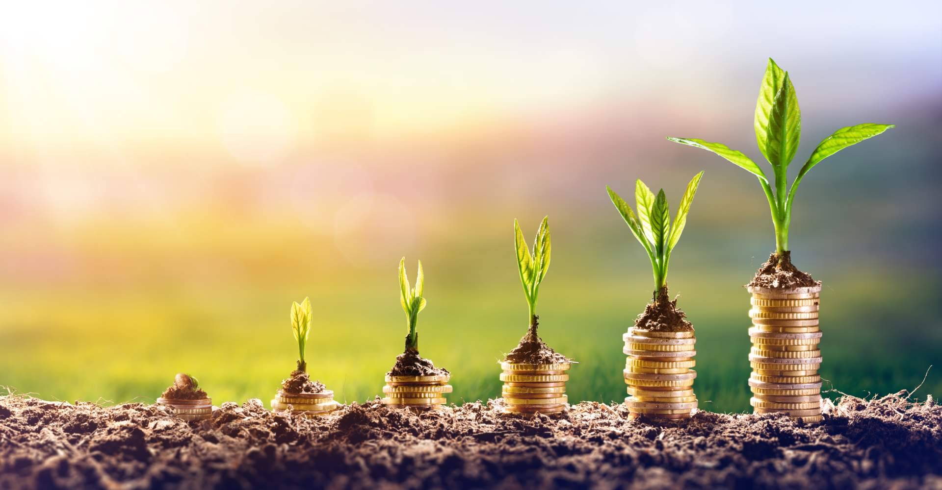 Un arquitecto para la inversión inmobiliaria