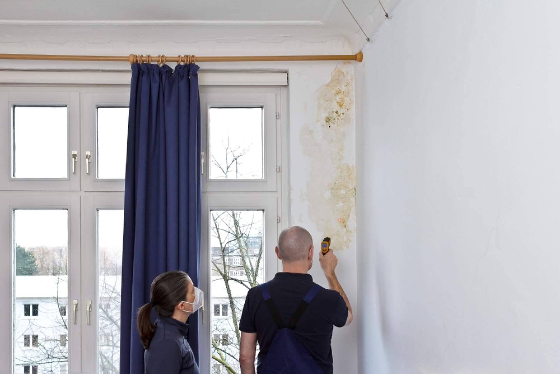 Los servicios de limpieza de humedad en la pared de Preactiva