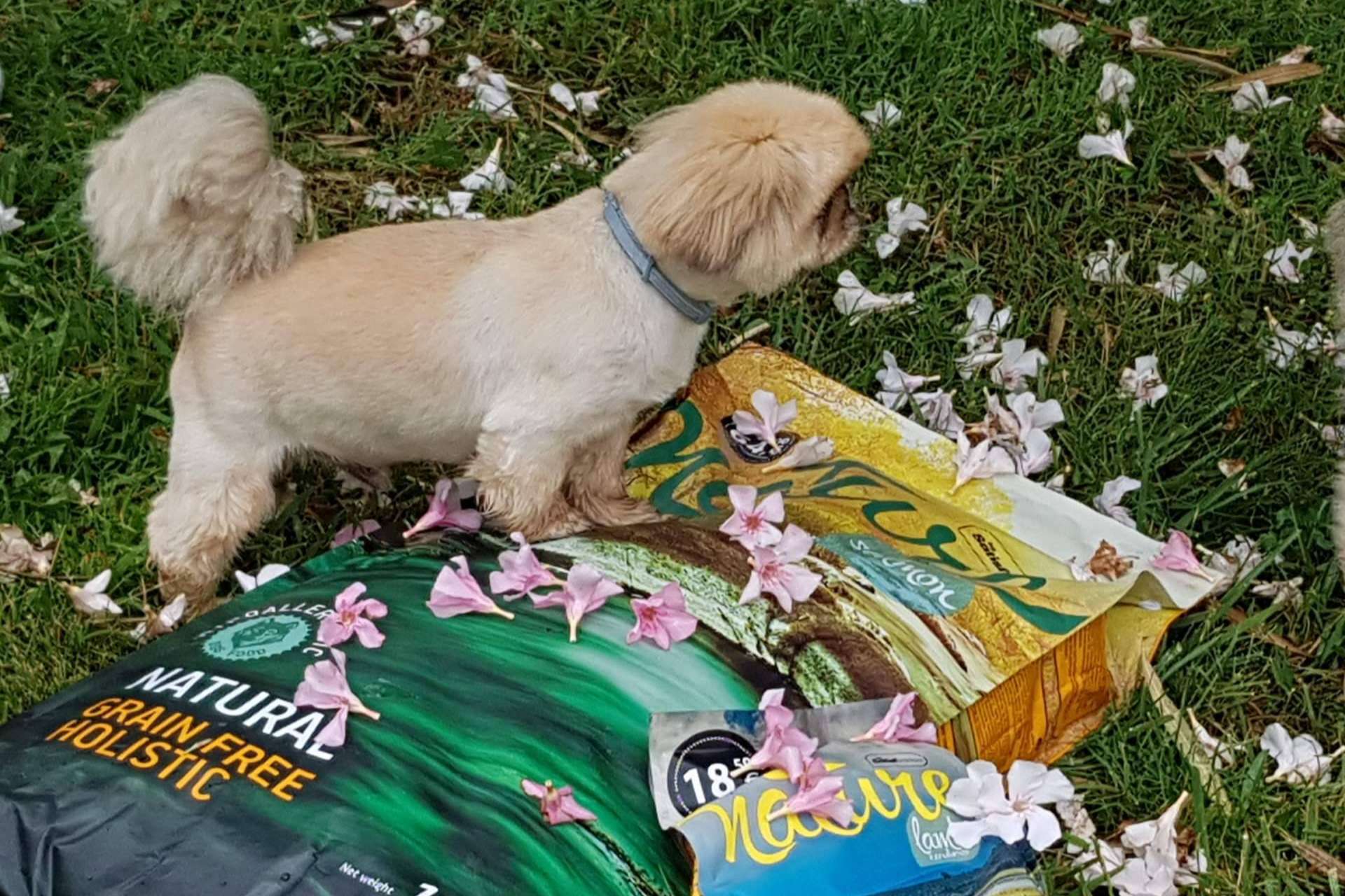 El pienso para perros hipoalergénico de la gama Nature de Satisfaction