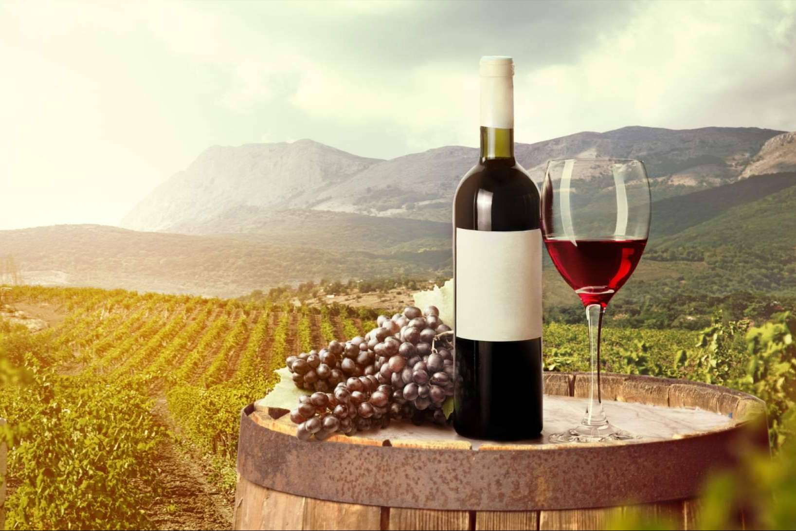 Llega la tecnología que evitará las multas a las bodegas