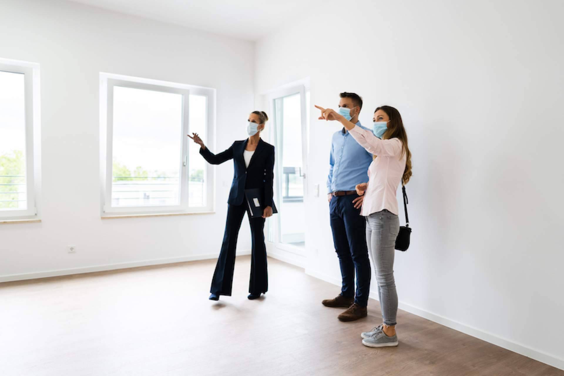 Alemany Real Estate, los servicios que ofrece la inmobiliaria online