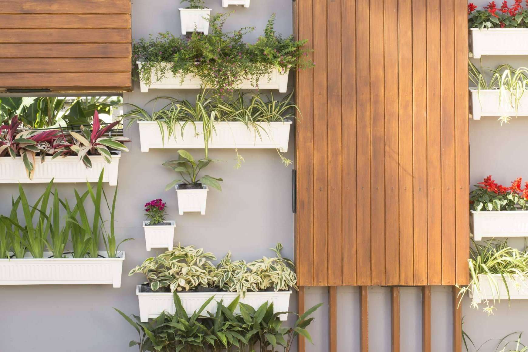 ¿Dónde adquirir un jardín vertical artificial en oferta? JardinVertical.es
