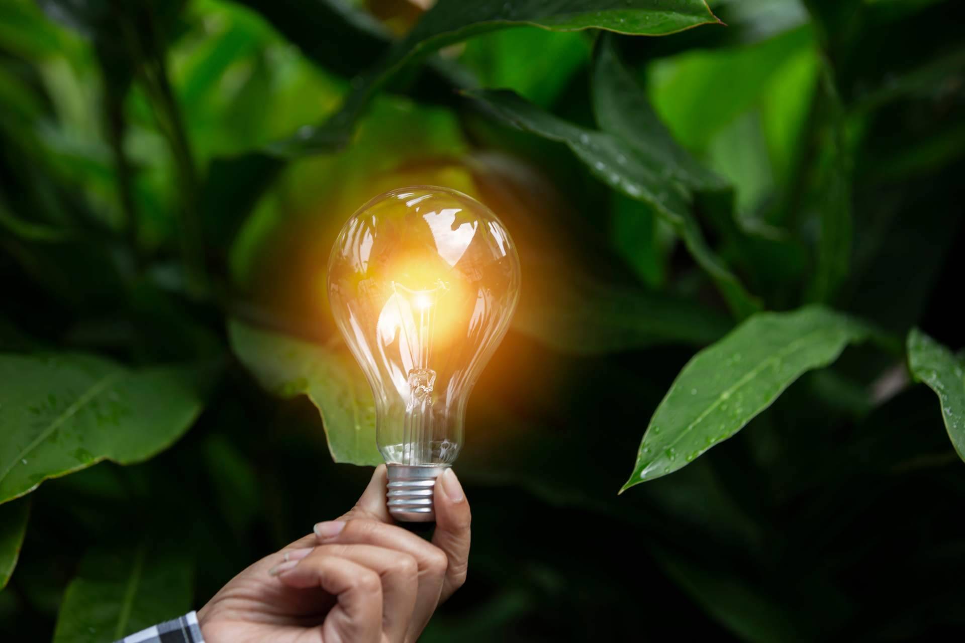 Multienergía Verde, hacia un futuro sostenible