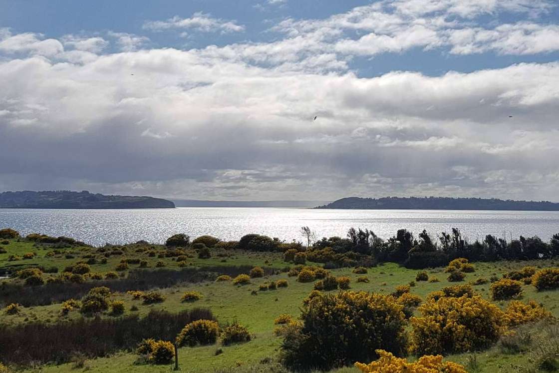 Latitudes Australes, una empresa destacada en proyectos de parcelas en el sur de Chile