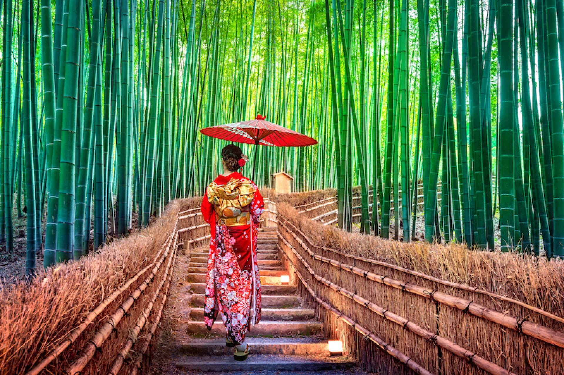 Viajes a Japón a súper precios, con Viaxes Low Cost