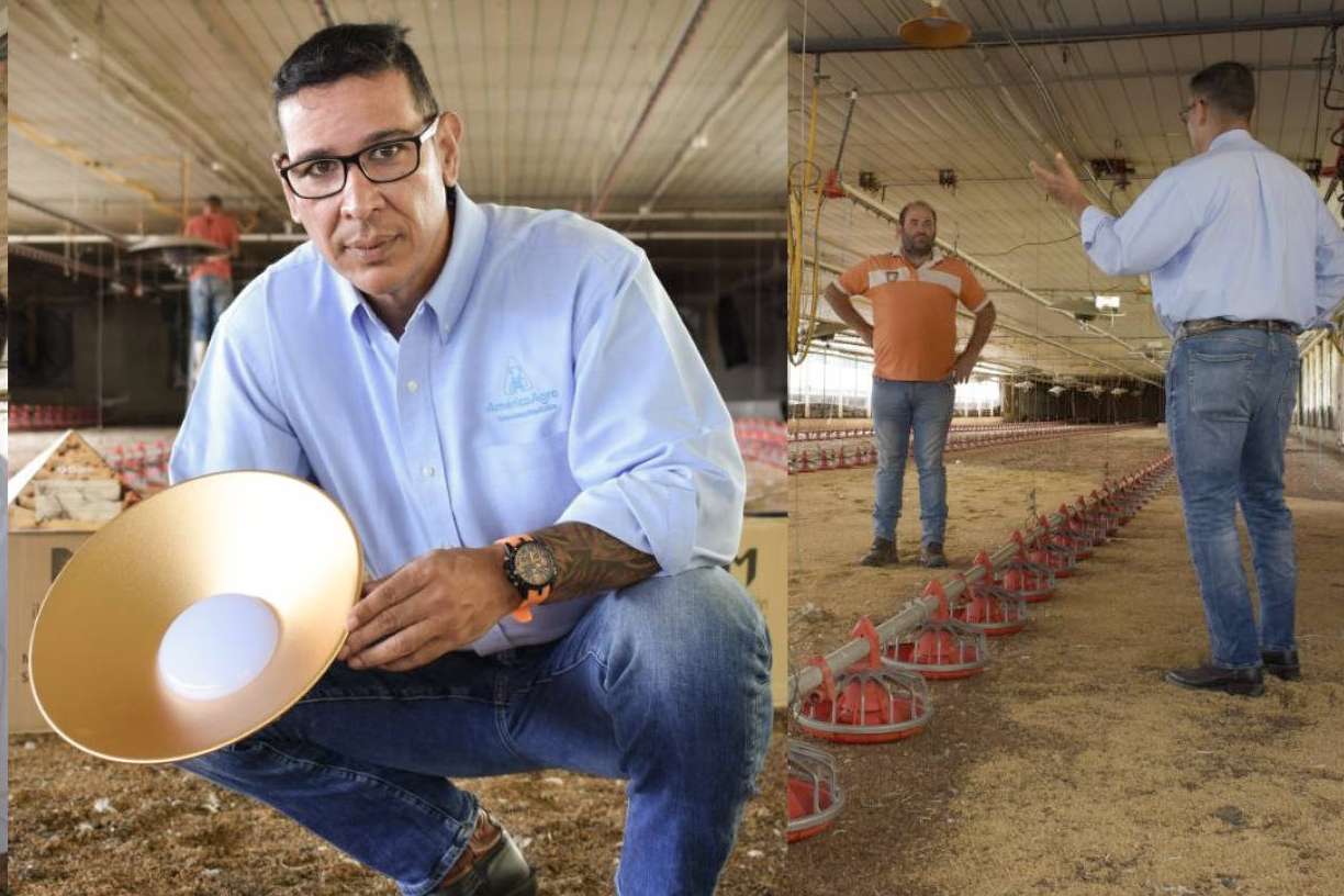 AméricaAgro, a través de su asesoría de vanguardia, permite optimizar la producción avícola