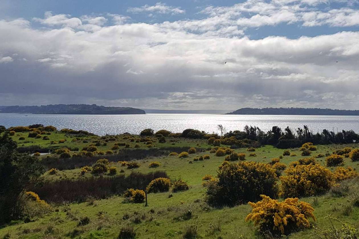 Latitudes Australes proporciona lugares ideales en Chiloé para invertir en una parcela