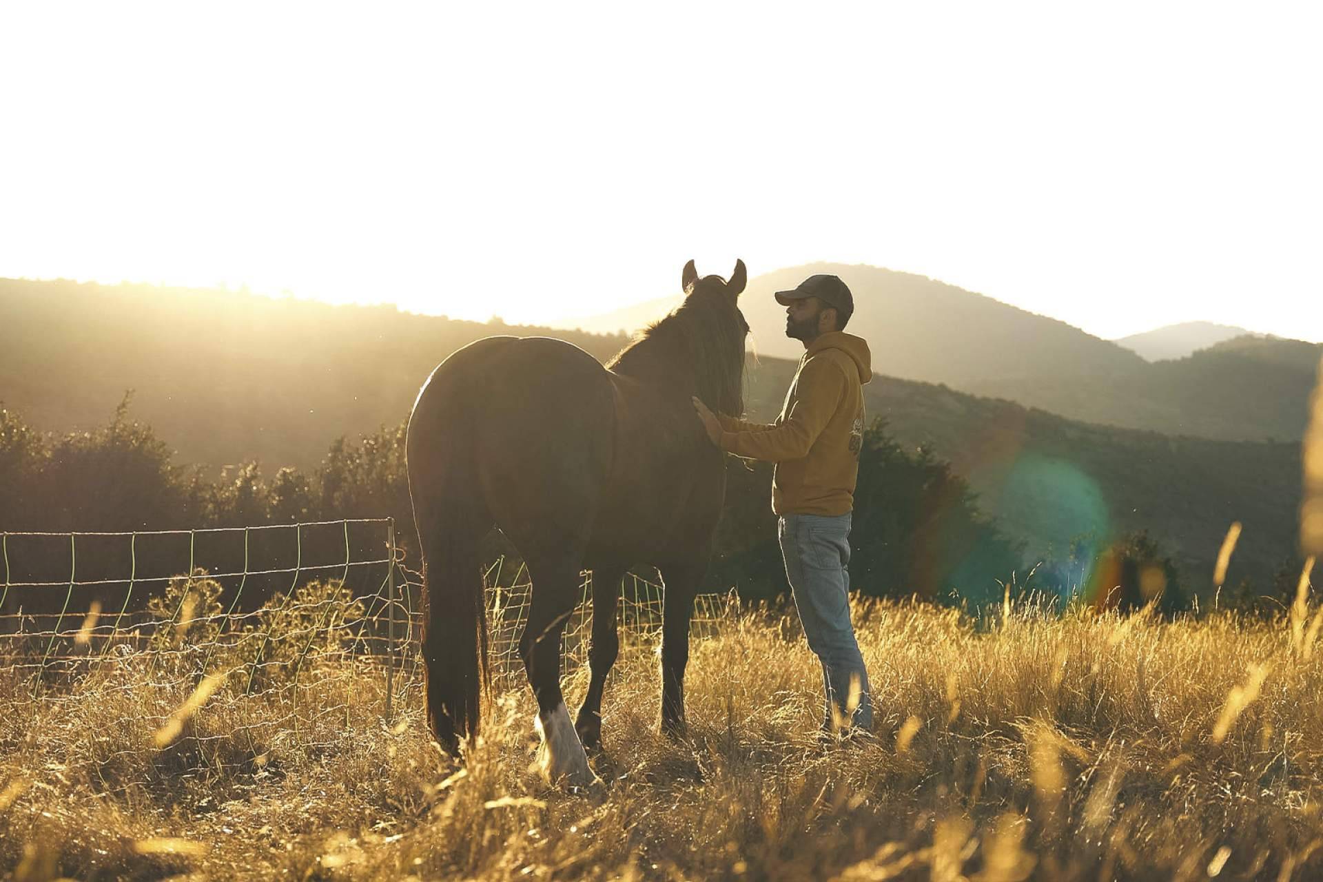 Las características de la travesía de 100 días a caballo por Norteamérica en busca de respuestas