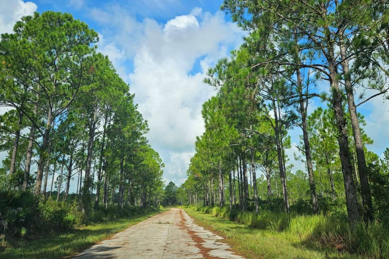 Hay bajo riesgo cuando se invierte en terrenos en Florida