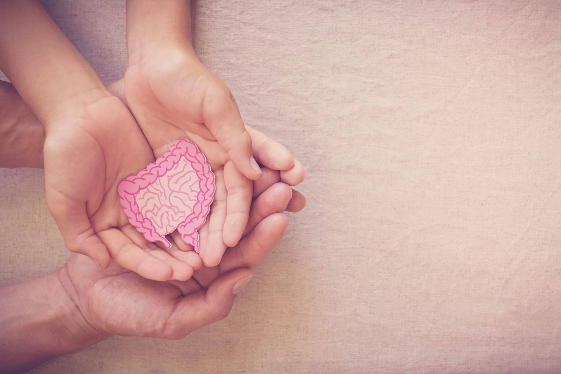 Prebióticos vs Probióticos. ¿Cuáles son sus diferencias y qué opciones existen?