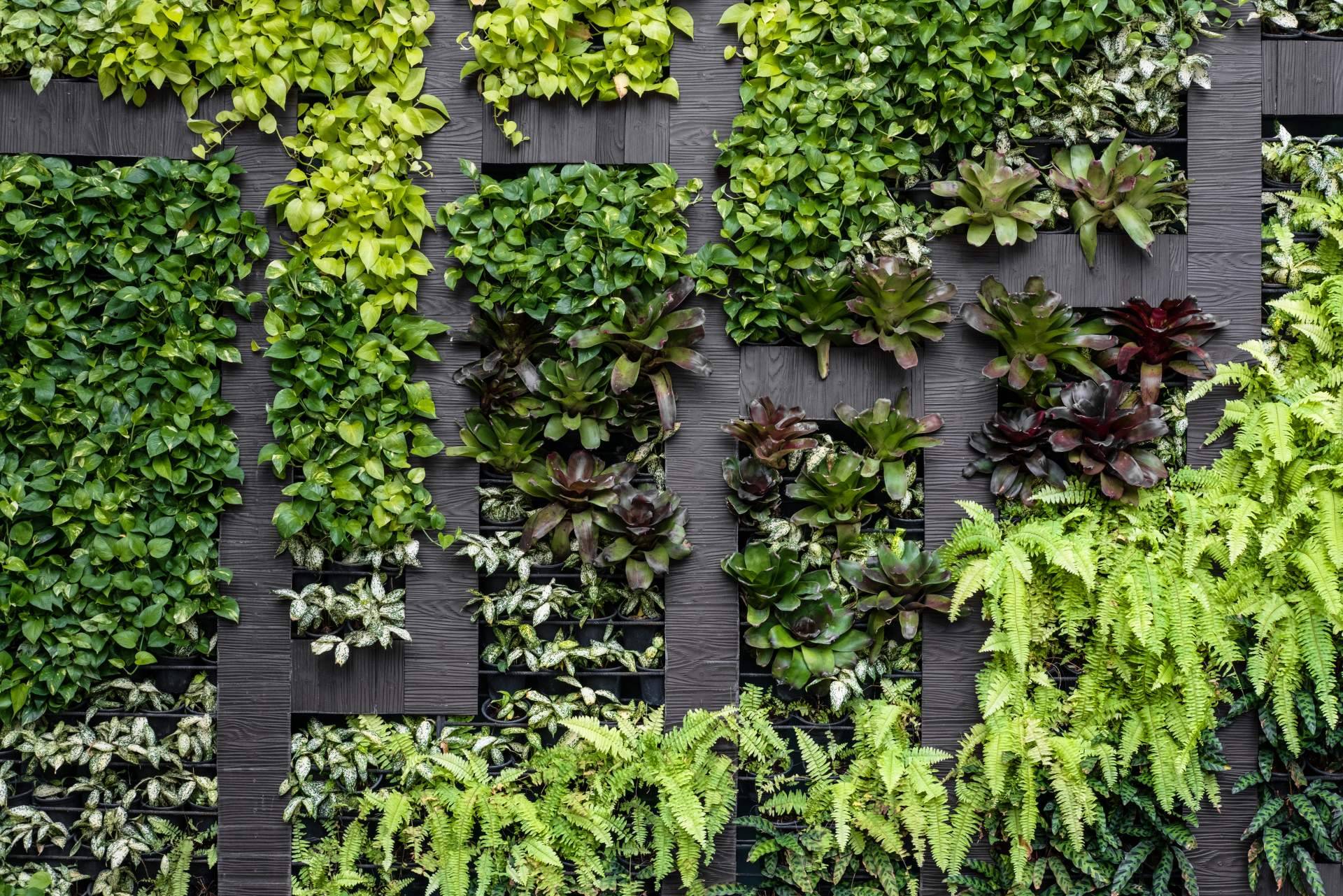 Black Friday es el momento perfecto para transformar espacios con JardinVertical.es