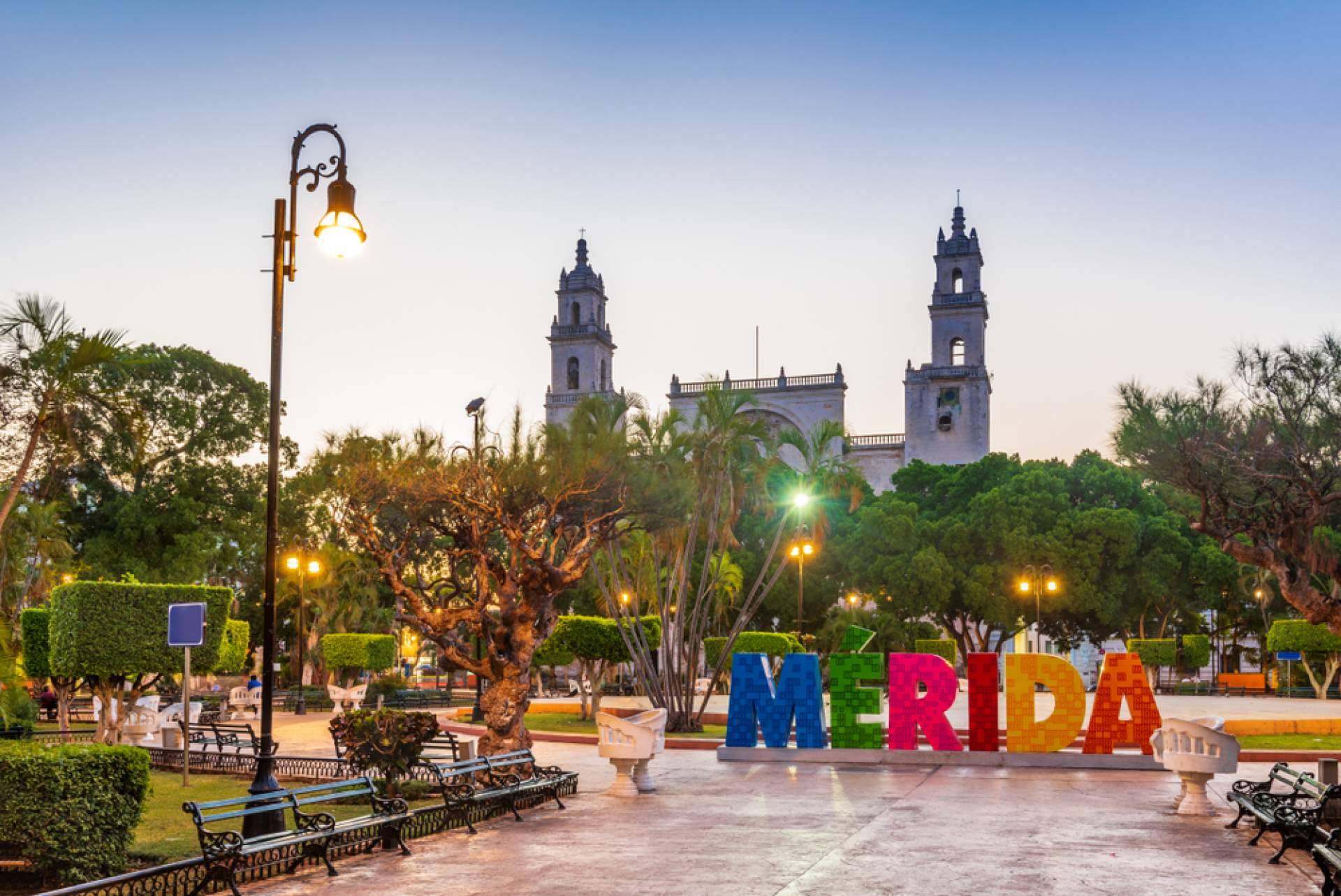 Uno de los líderes en construcción en Mérida, Yucatán, OLEA; GRUPO CONSTRUCTOR