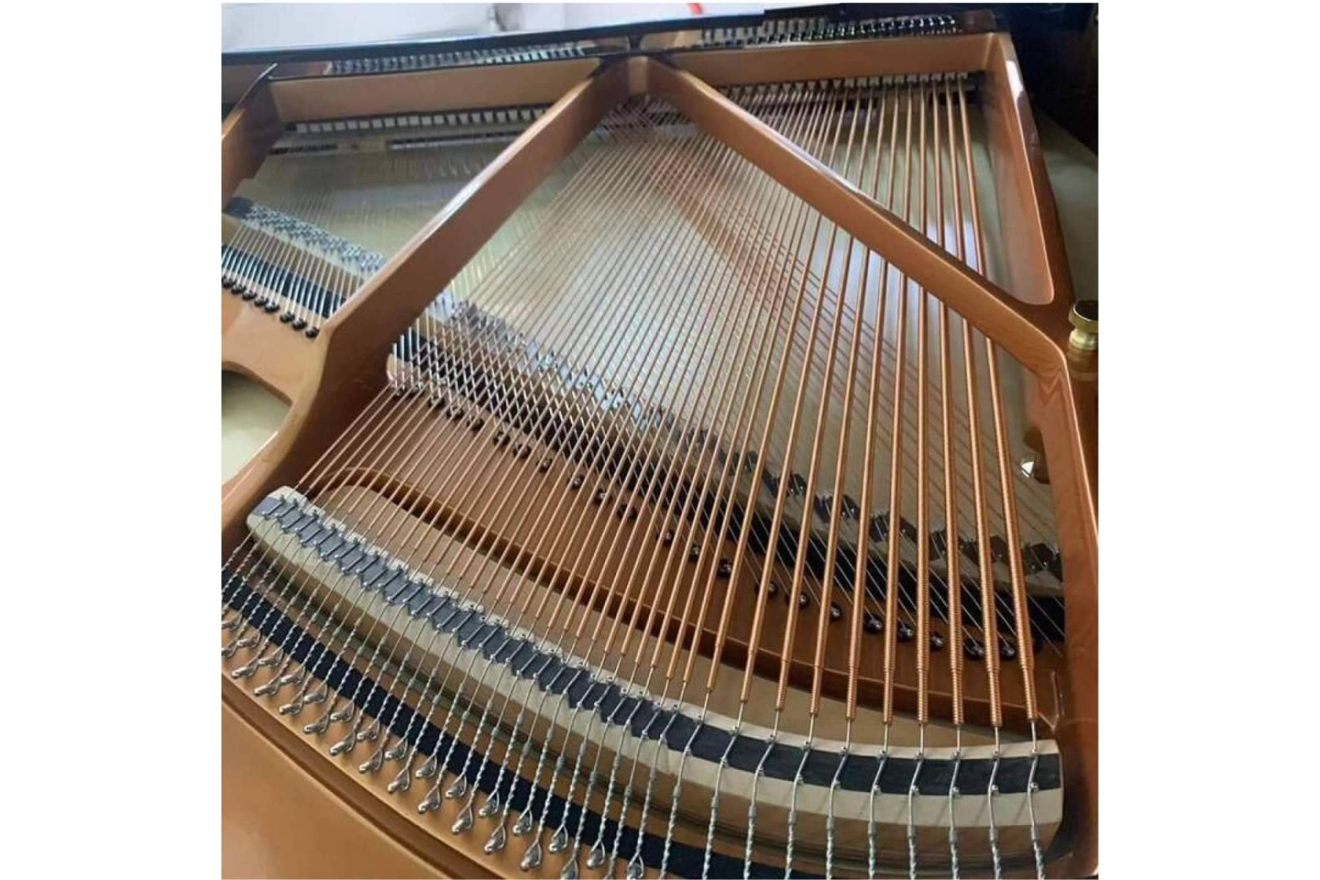 Real Music Spain, una tienda de referencia para todos los pianistas