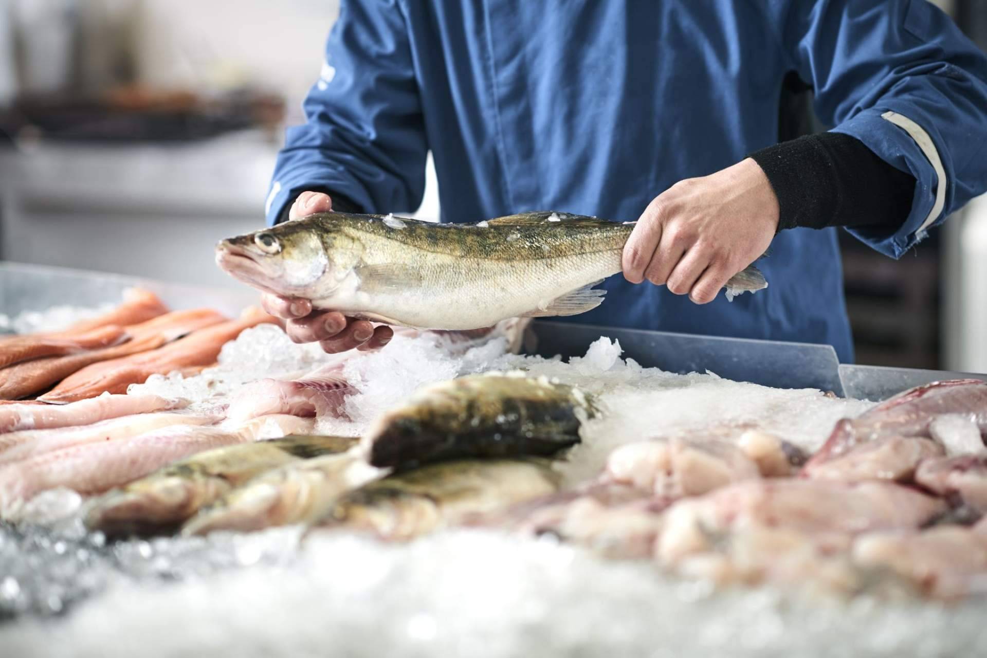 Los profesionales de pescados y mariscos de Pescadería Younes Ceuta