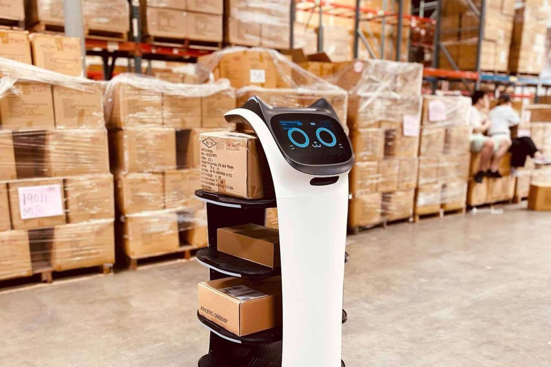 Conocer al robot ayudante de Telsystem, BellaBot