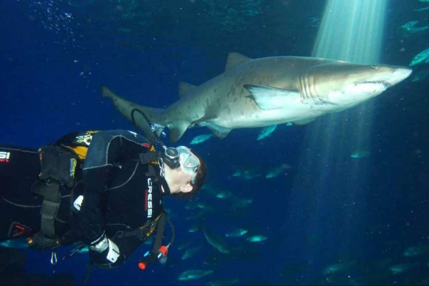 ¿Qué experiencias únicas y actividades no pueden faltar en una visita a Palma Aquarium?