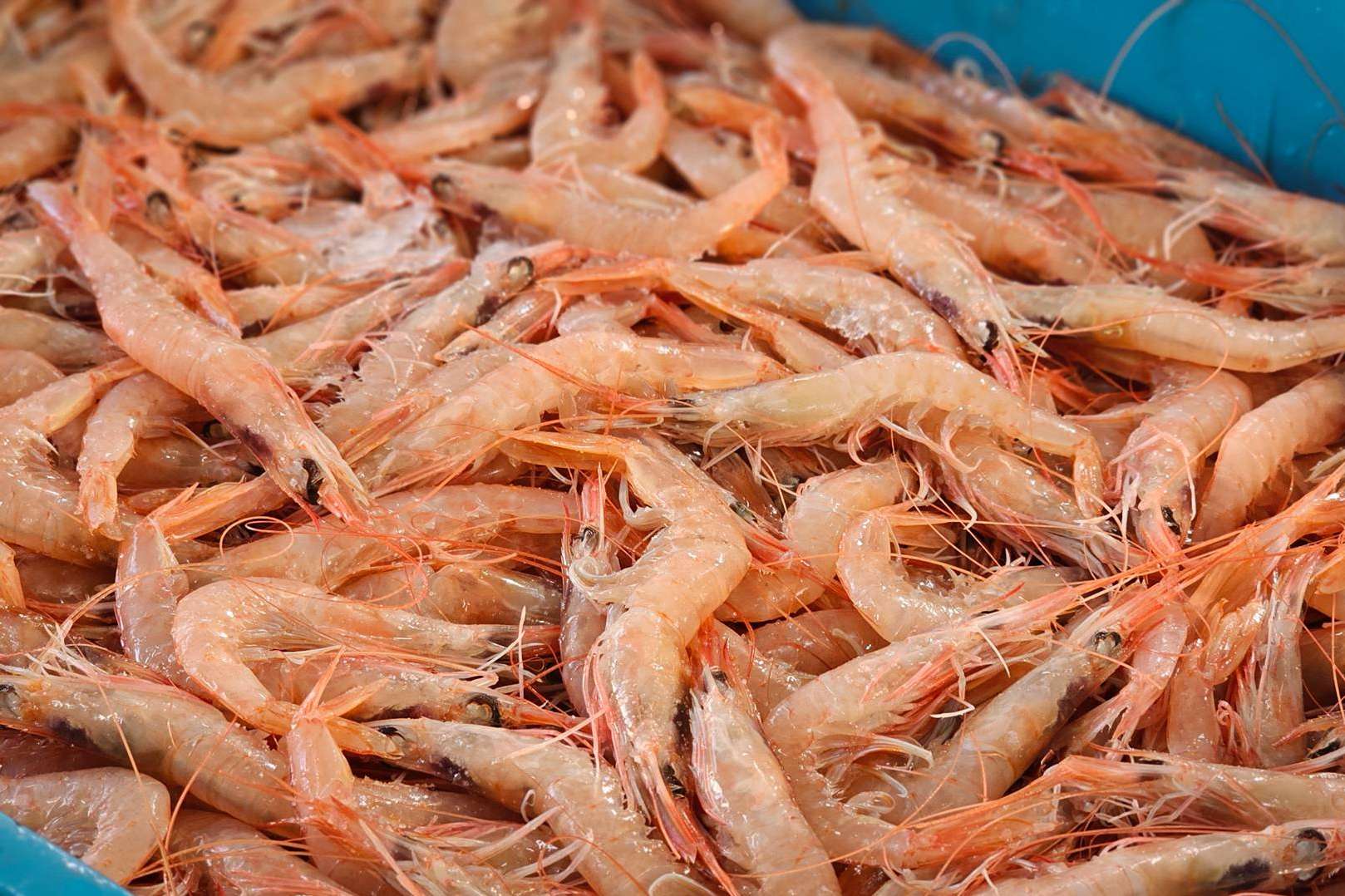 Las ventajas de comprar marisco para Navidad, con Lonja de Ayamonte