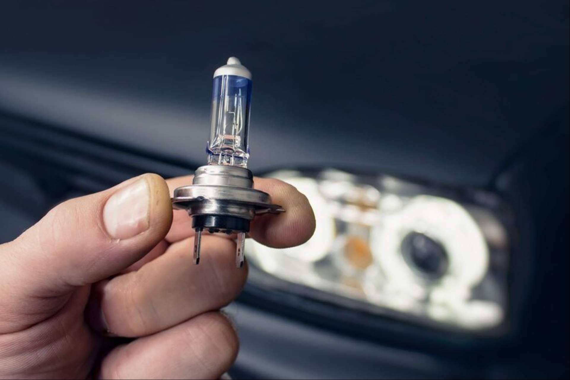 El proveedor en Granada de bombillas LED homologadas, Gareauto 37