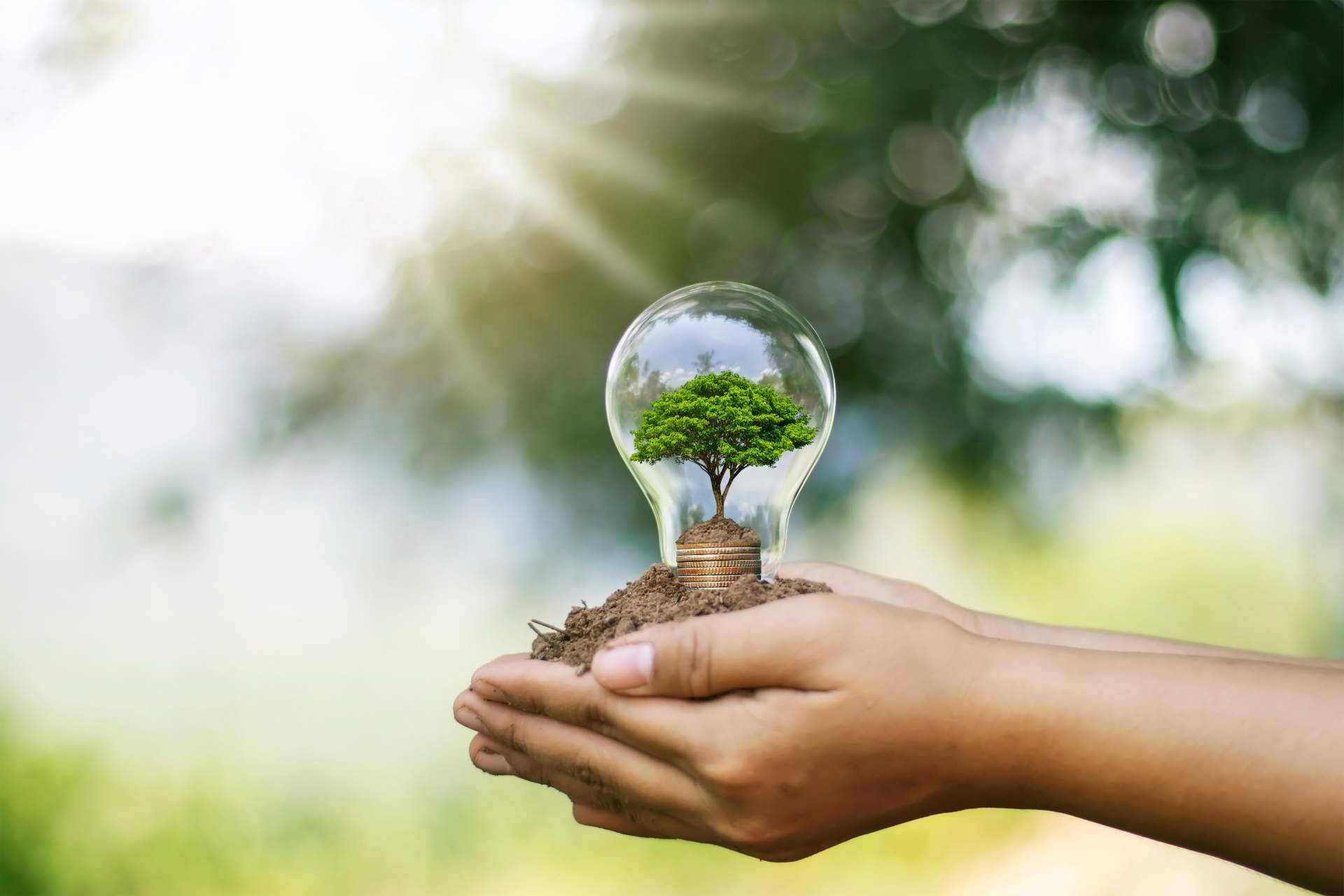 Trebede, el CRM específico para el sector de la energía