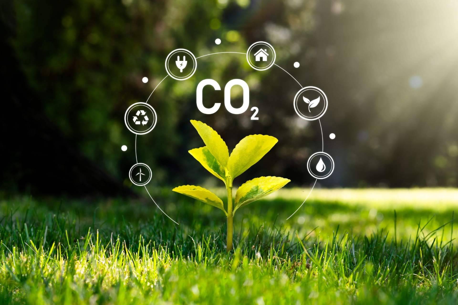 Desde 2019, Multienergía Verde reduce su huella de carbono en un 90 %