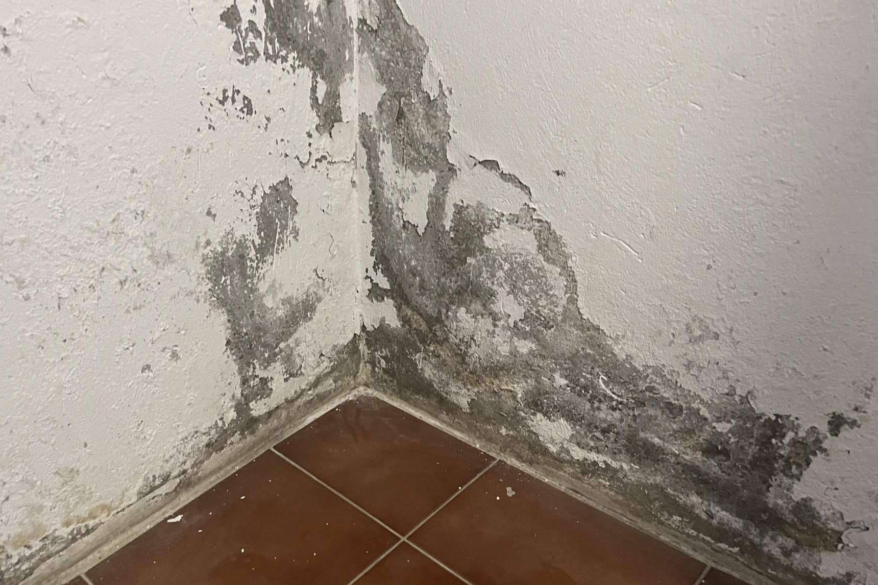 Cuando se trata de humedades, Preactiva se consolida como una solución inteligente
