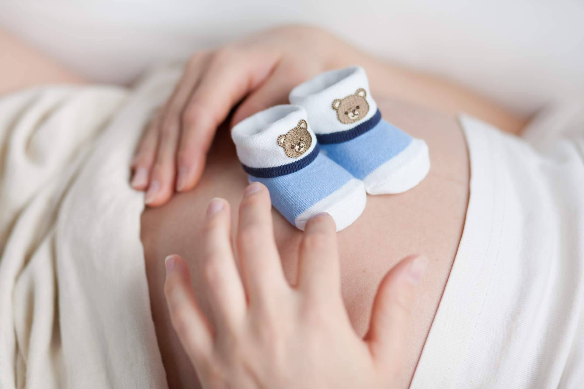 Elegansse sobre la fertilidad femenina