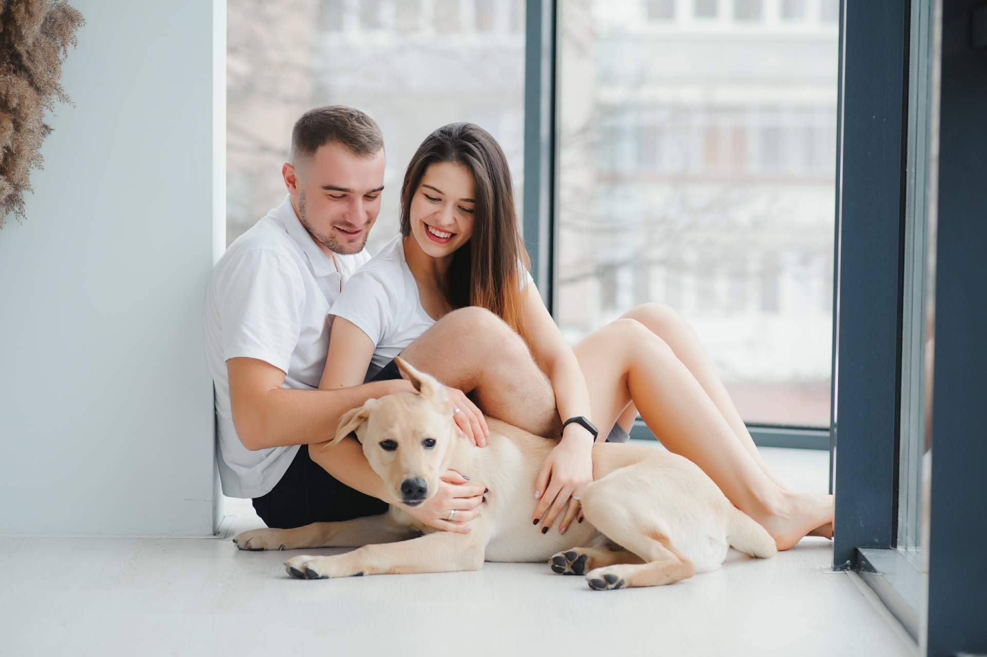 Del amor por los animales al triunfo empresarial; la franquiciada de El Perro Feliz en Ibiza explica su experiencia