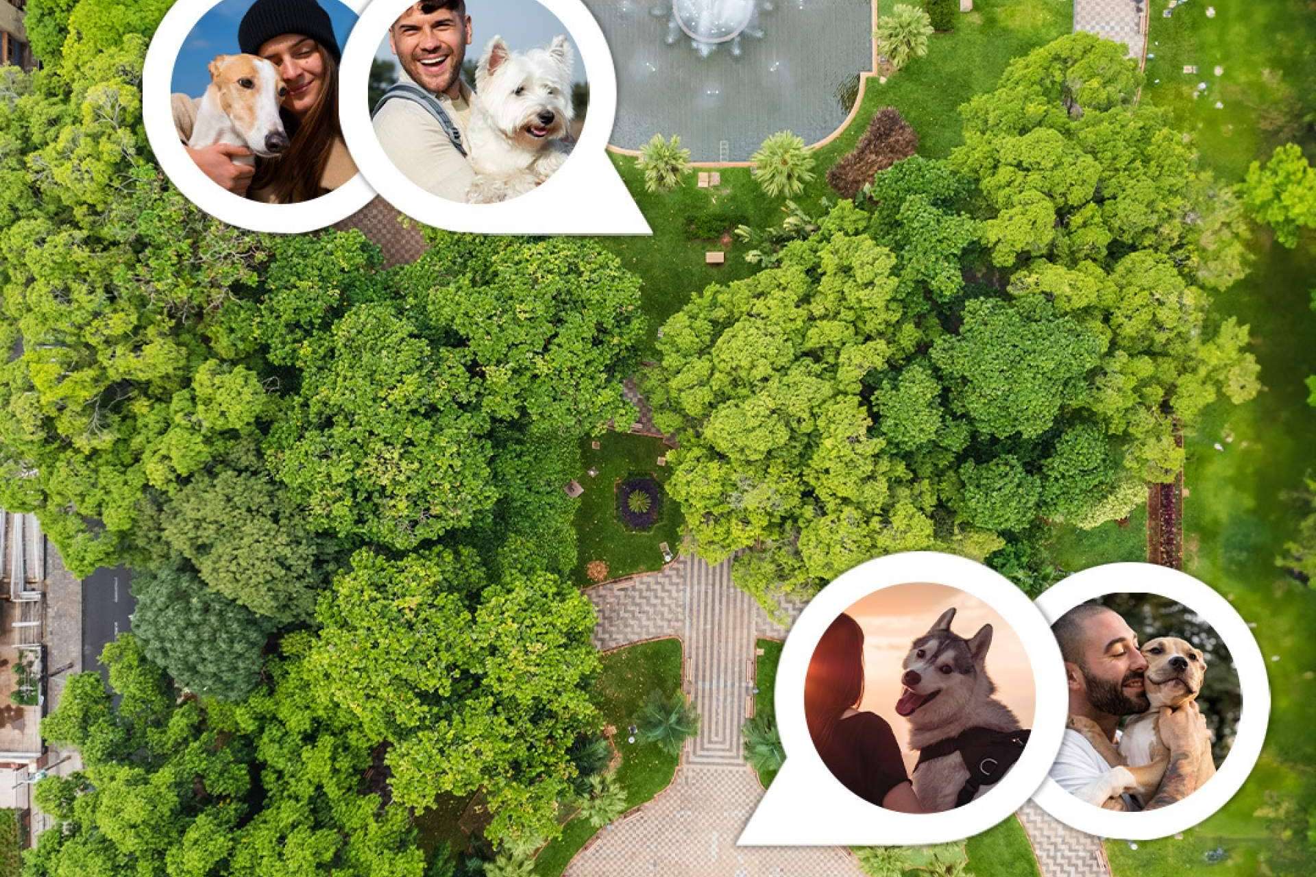 Llega Doguify, la aplicación que todo dog lover necesita