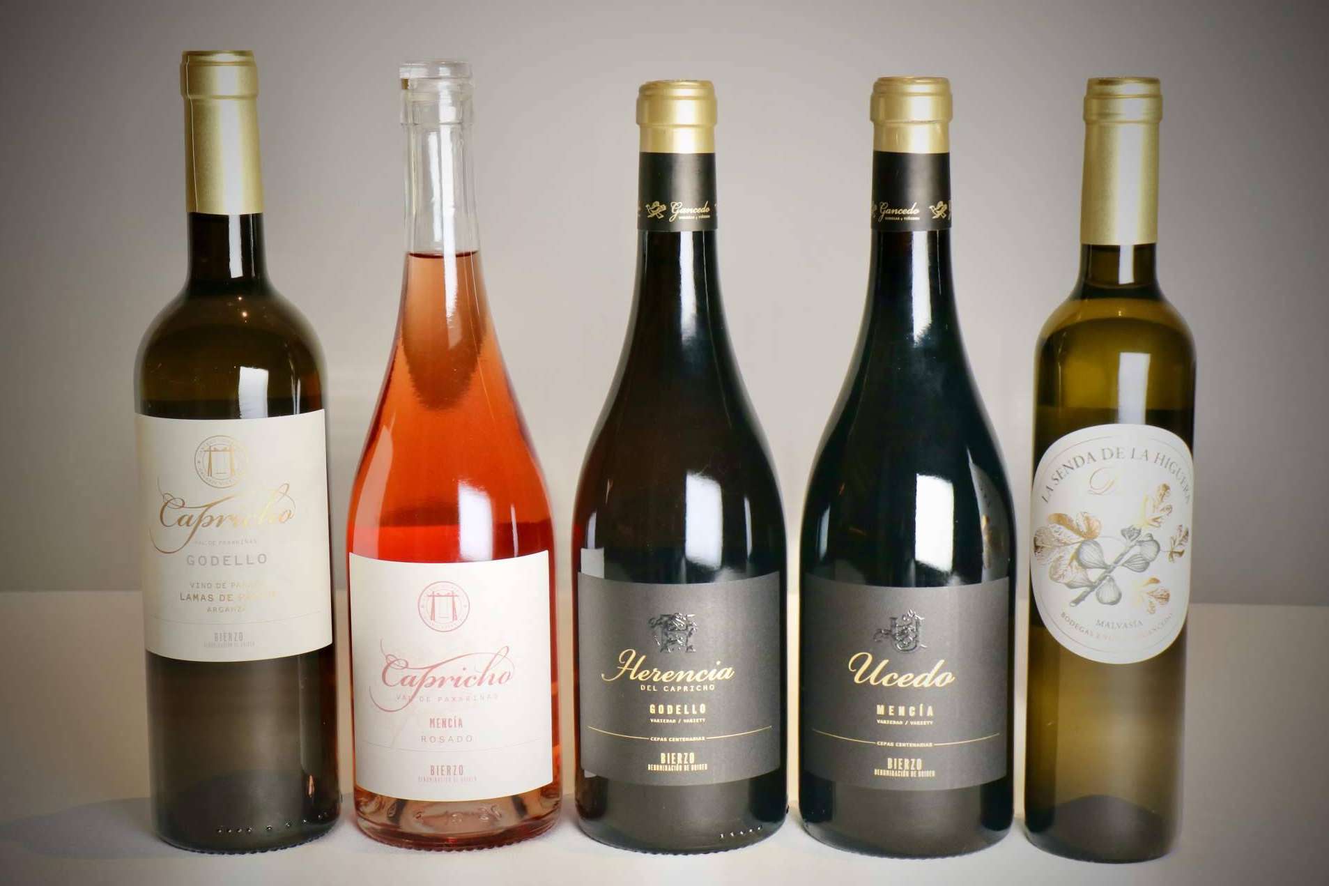 Los viñedos de El Bierzo, sinónimo de calidad y tradición