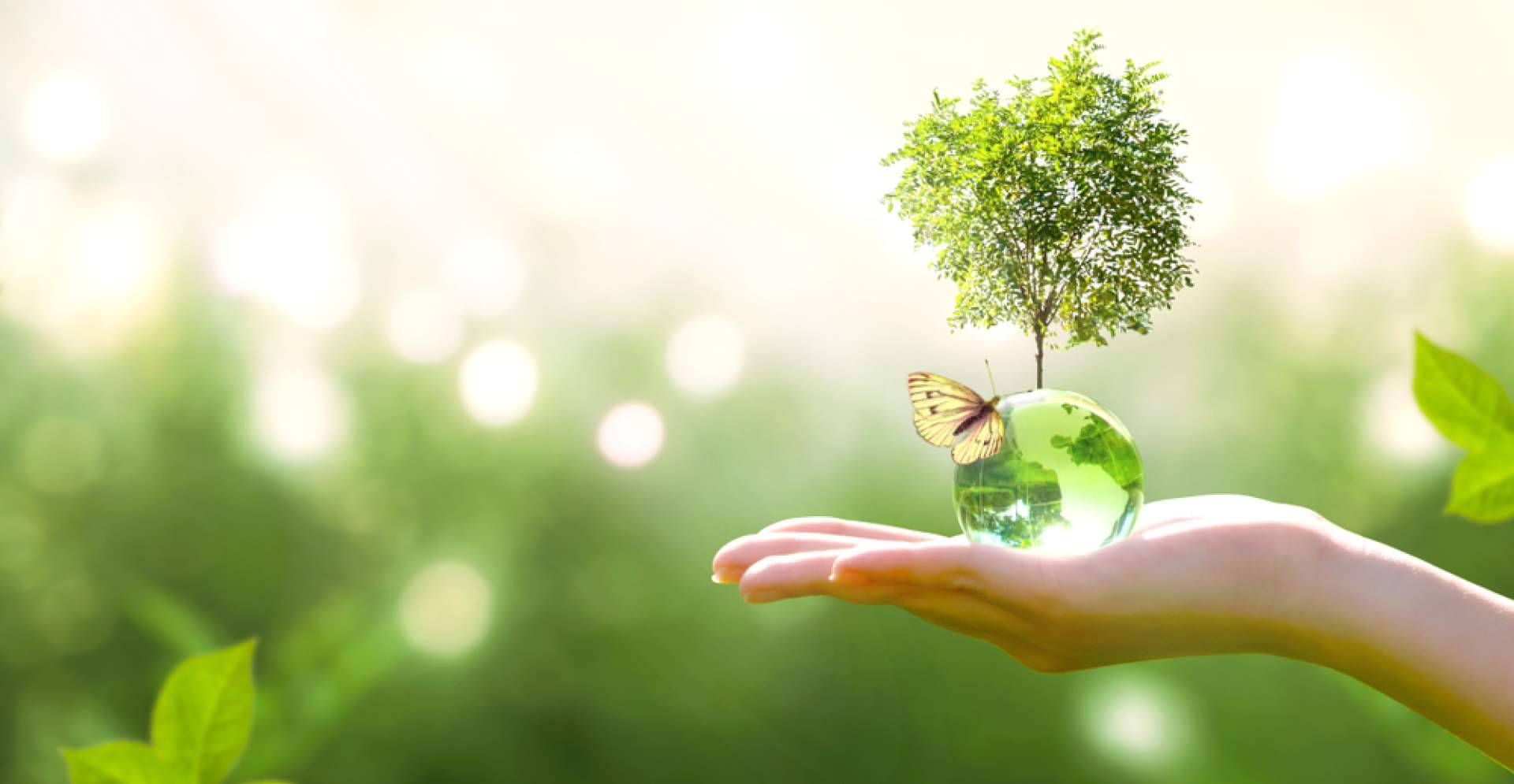 El futuro de la energía según Multienergía Verde