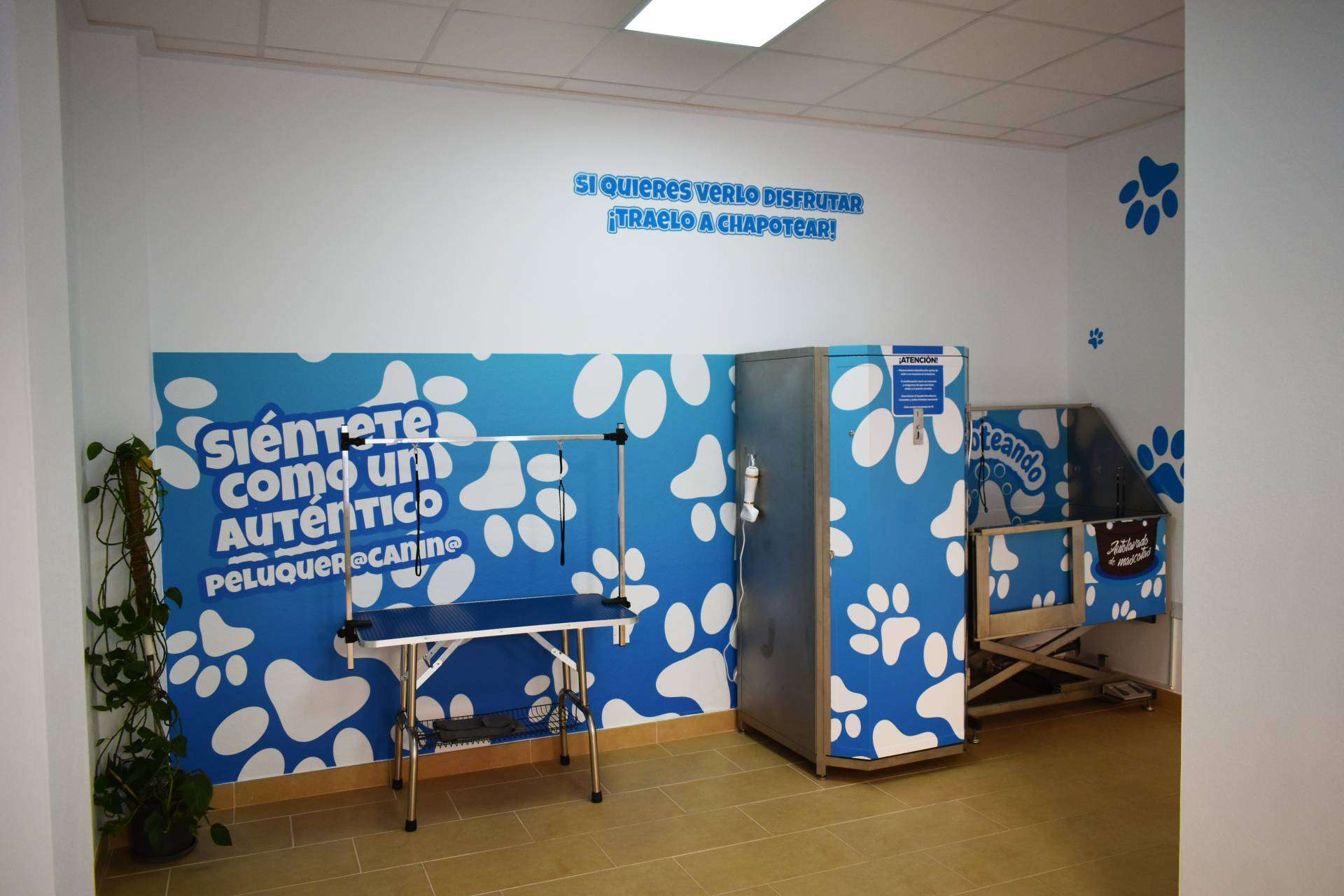 ¿Cuáles son las ventajas de las franquicias de peluquería canina de Chapoteando?